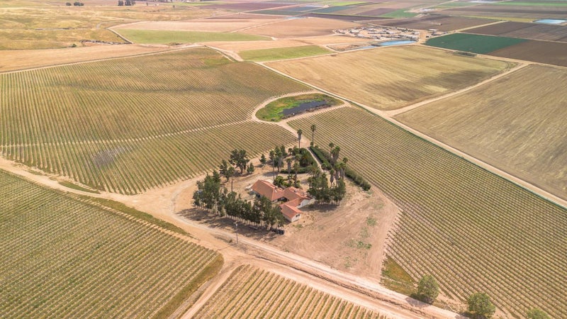 31021 Camphora Road