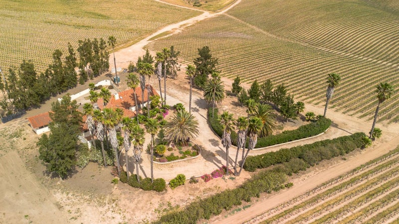 31021 Camphora Road