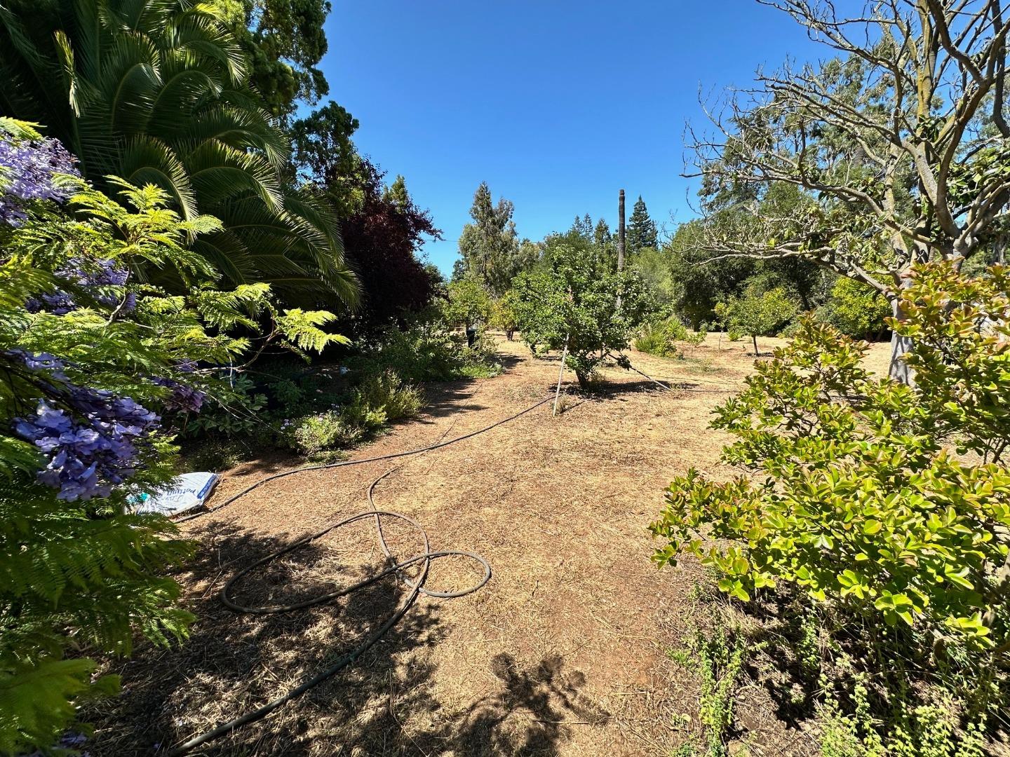 399 Hawthorne Avenue