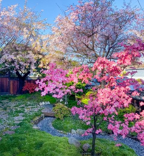 Tiny photo for 1318 Huron Avenue, SAN MATEO, CA 94401 (MLS # ML82028035)