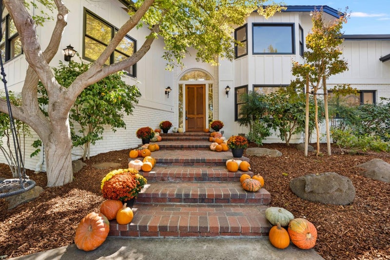 26209 Dori Lane