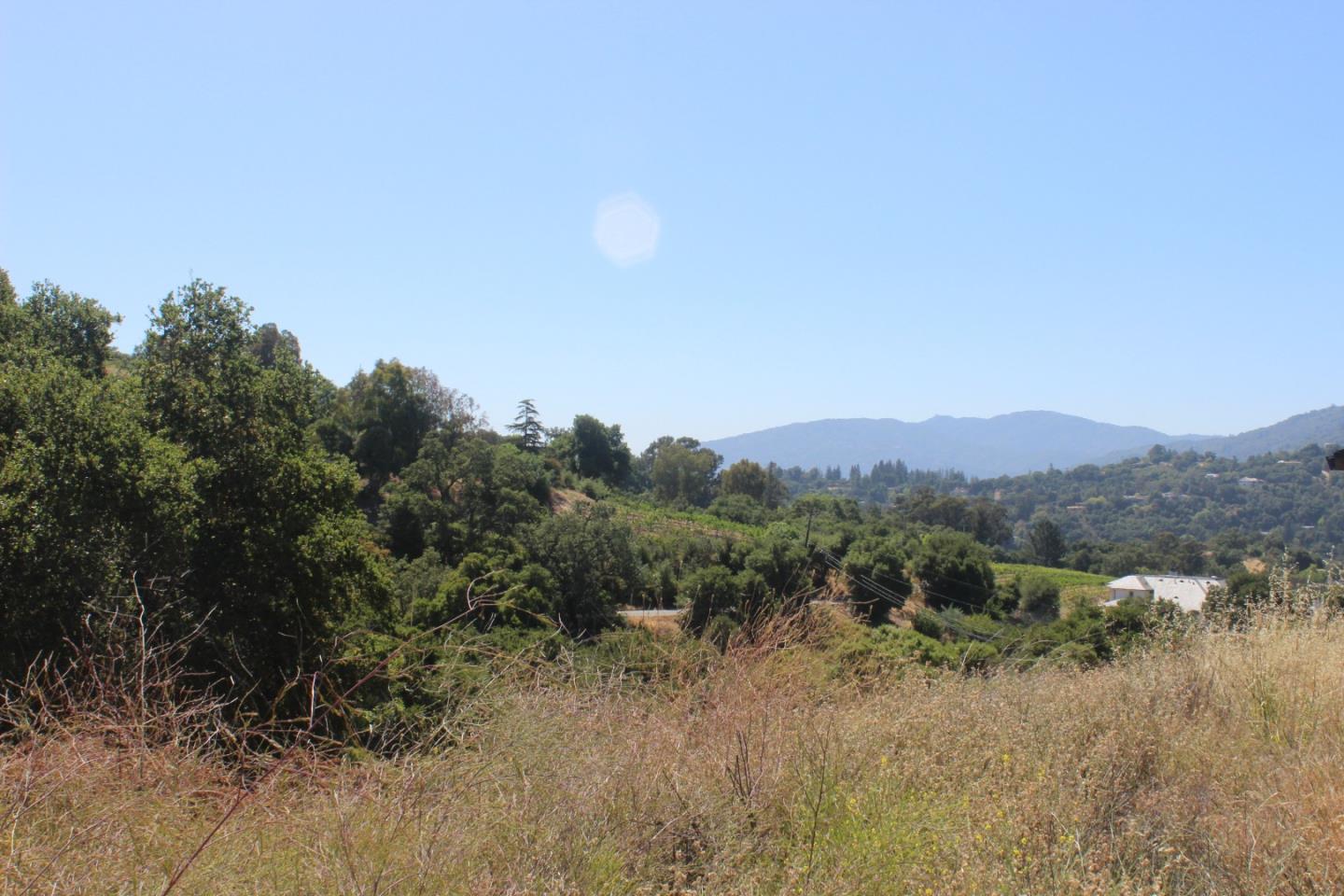 0 Mt Eden Road