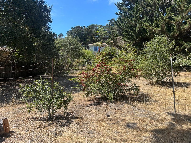26046 Highway 1