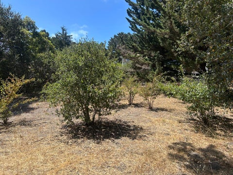 Tiny photo for 26046 Highway 1, CARMEL, CA 93923 (MLS # ML82059577)