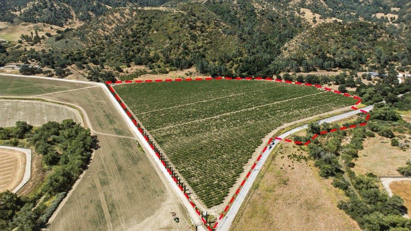 24.5 +- AC Cienega Road