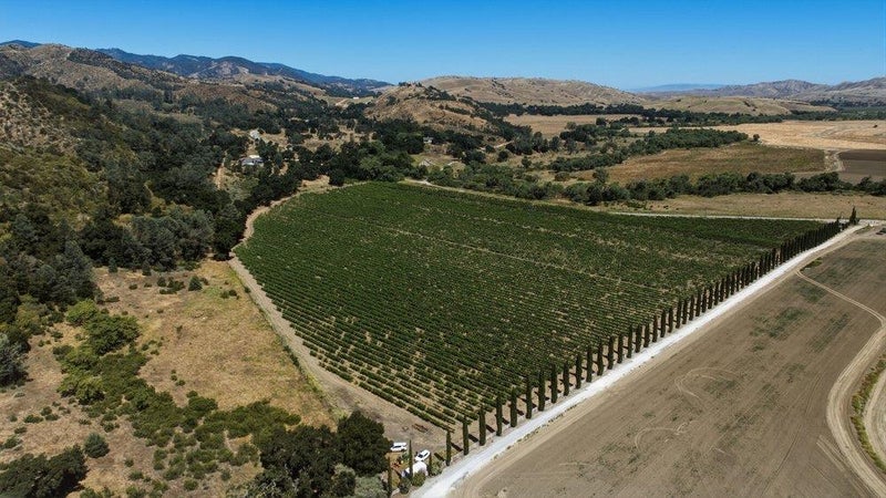 24.5 +- AC Cienega Road