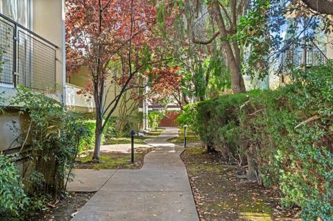 Tiny photo for 455 Grant Avenue #8, PALO ALTO, CA 94306 (MLS # ML82026267)