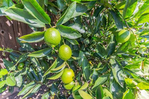 Tiny photo for 43 Saint Brendan Way, Salinas, CA 93906 (MLS # ML82043170)