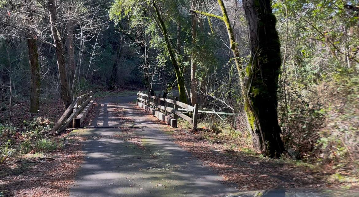 10 Garzas Trail
