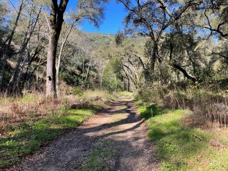 10 Garzas Trail