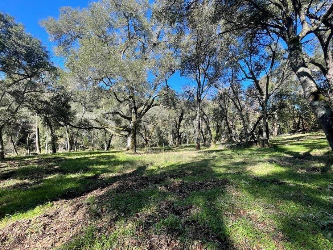 10 Garzas Trail