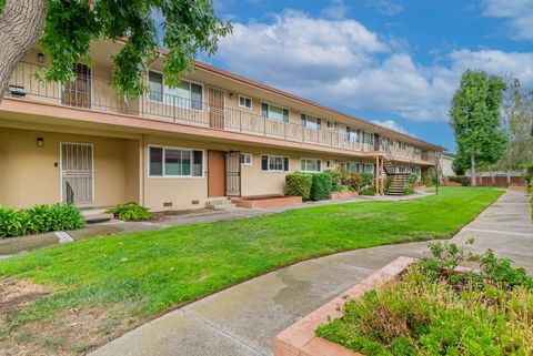 Tiny photo for 1369 Phelps Avenue #9, San Jose, CA 95117 (MLS # ML82035233)