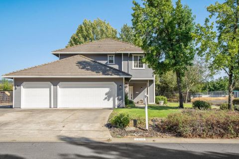 Photo of 1333 Downieville Drive, EL DORADO HILLS, CA 95762 (MLS # ML82034878)