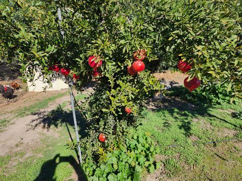 Tiny photo for 3719 N Hart Road, Modesto, CA 95358 (MLS # ML82026496)