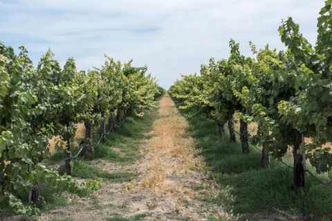 12487 AVENUE 14 MADERA CA 93639