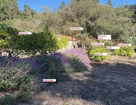 Tiny photo for 687 Calabasas Road, WATSONVILLE, CA 95076 (MLS # ML82023424)