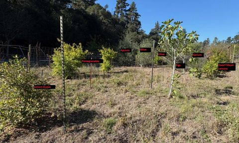 Tiny photo for 687 Calabasas Road, WATSONVILLE, CA 95076 (MLS # ML82023424)