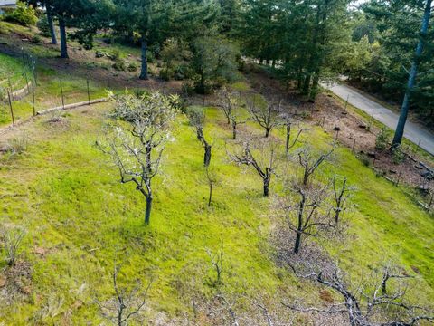 Tiny photo for 125 Mcgivern Way, SANTA CRUZ, CA 95060 (MLS # ML82036913)