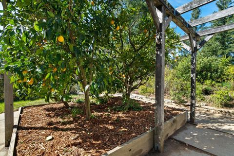 Tiny photo for 125 Mcgivern Way, SANTA CRUZ, CA 95060 (MLS # ML82036913)