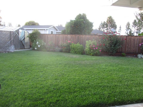 Tiny photo for GILROY, CA 95020 (MLS # ML82052447)