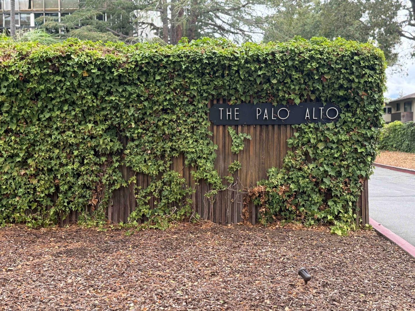 101 Alma Street 1102