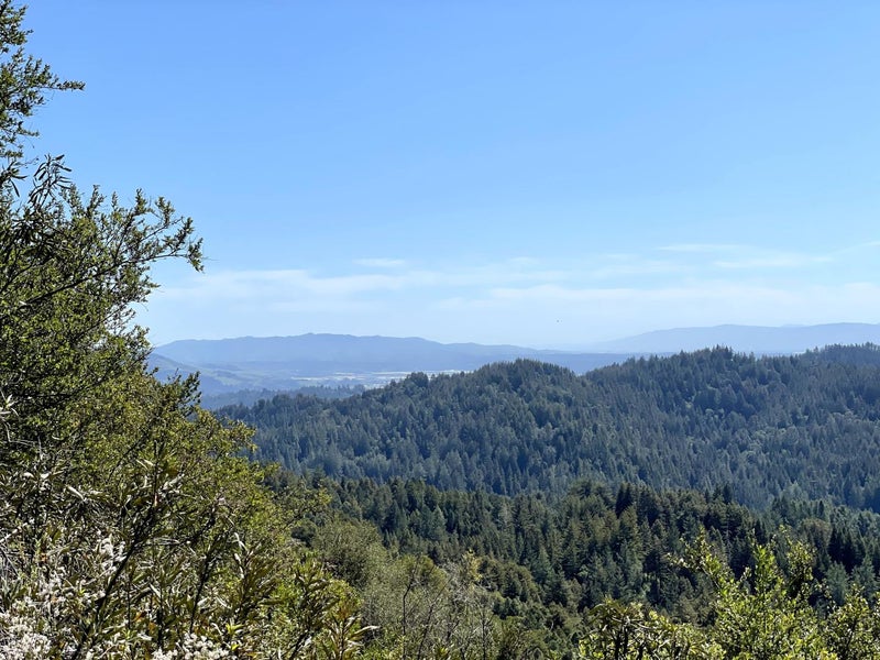 2033 Eureka Canyon Road