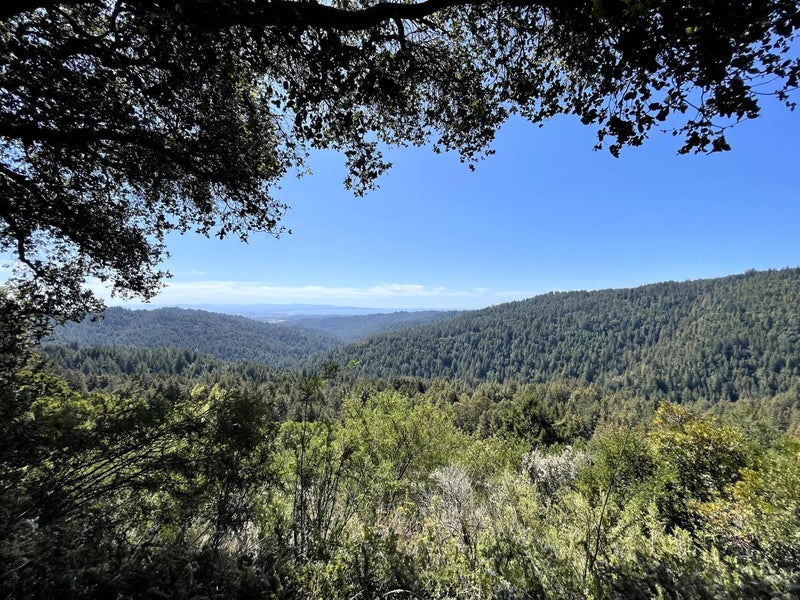 2033 Eureka Canyon Road