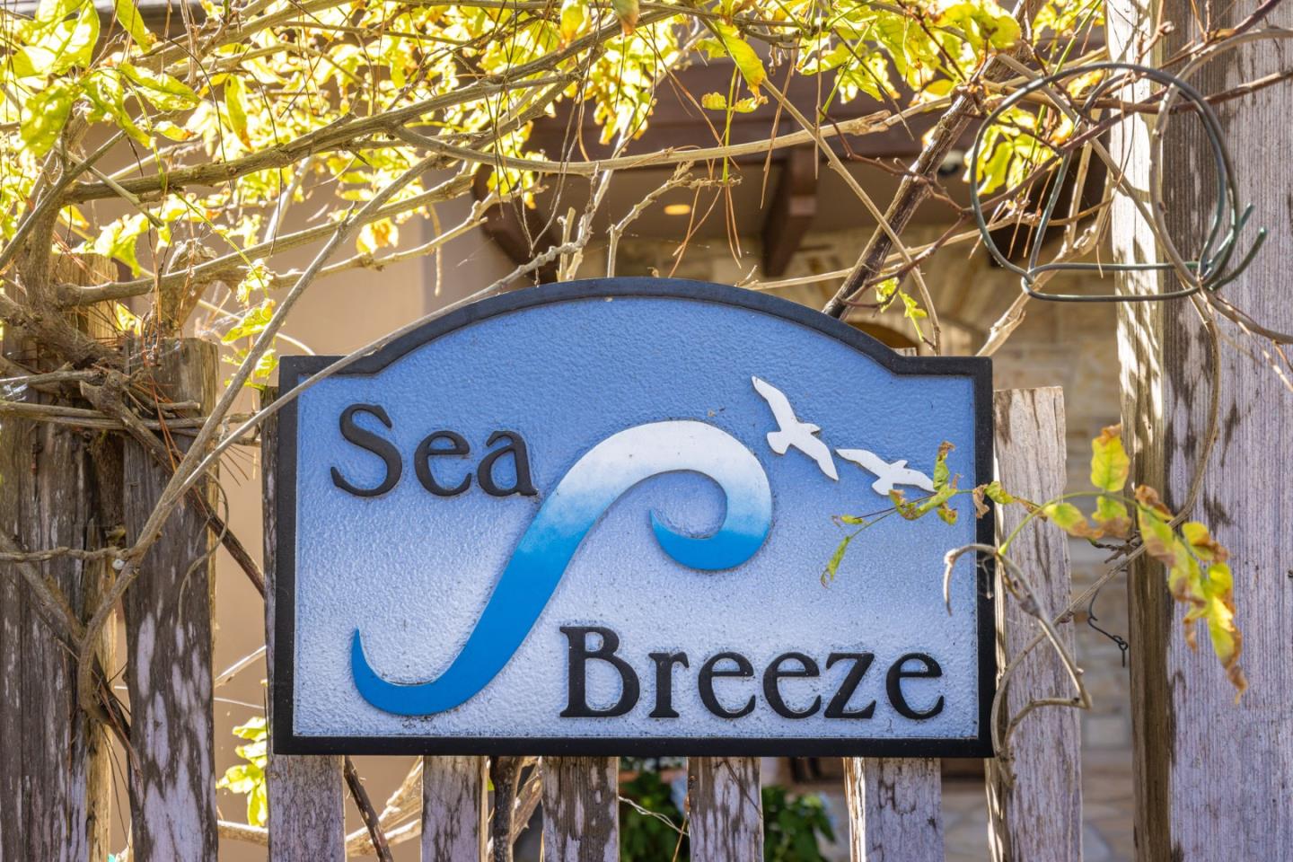 0 Southeast Corner of Monte Verde & 10th Avenue