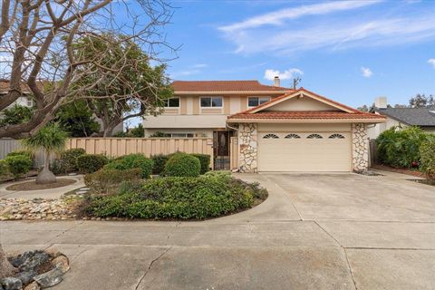 Photo of 1475 Mardan Drive, SAN JOSE, CA 95132 (MLS # ML82034876)