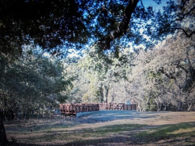 3343 Alpine Road