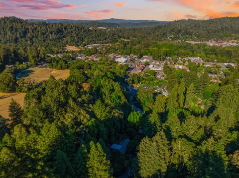 Tiny photo for 6066 Hillside Drive, FELTON, CA 95018 (MLS # ML82053461)