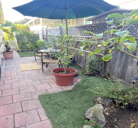 Tiny photo for 800 Brommer Street #57, SANTA CRUZ, CA 95062 (MLS # ML82059014)