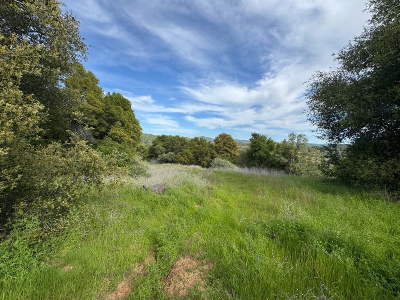 000 Cabezut Road