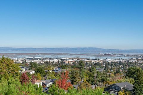 Tiny photo for 1033 Hewitt Drive, SAN CARLOS, CA 94070 (MLS # ML82028852)