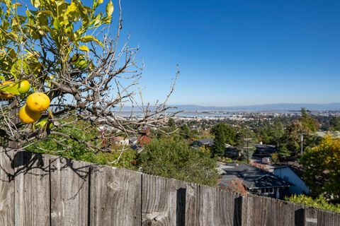 Tiny photo for 1033 Hewitt Drive, SAN CARLOS, CA 94070 (MLS # ML82028852)