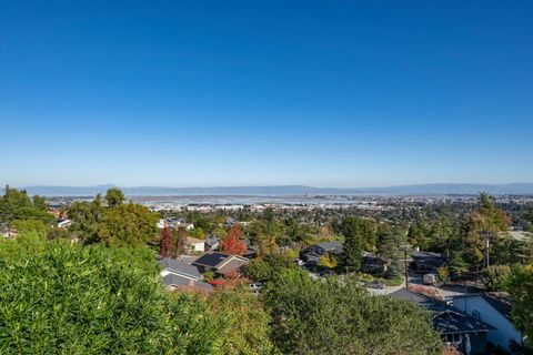 Tiny photo for 1033 Hewitt Drive, SAN CARLOS, CA 94070 (MLS # ML82028852)
