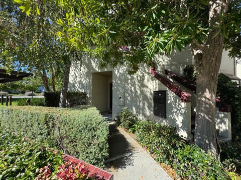 Photo of 101 Shorebird Circle, REDWOOD CITY, CA 94065 (MLS # ML82024240)