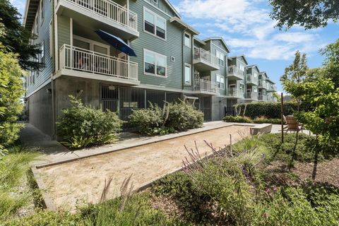 Photo of 708 Frederick Street #204, SANTA CRUZ, CA 95062 (MLS # ML82031495)