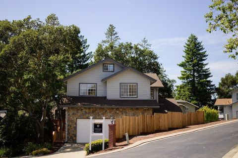Photo of 131 Viki Court, SCOTTS VALLEY, CA 95066 (MLS # ML81963209)