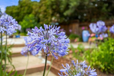 Tiny photo for 9 Deer Stalker Path, MONTEREY, CA 93940 (MLS # ML82020896)