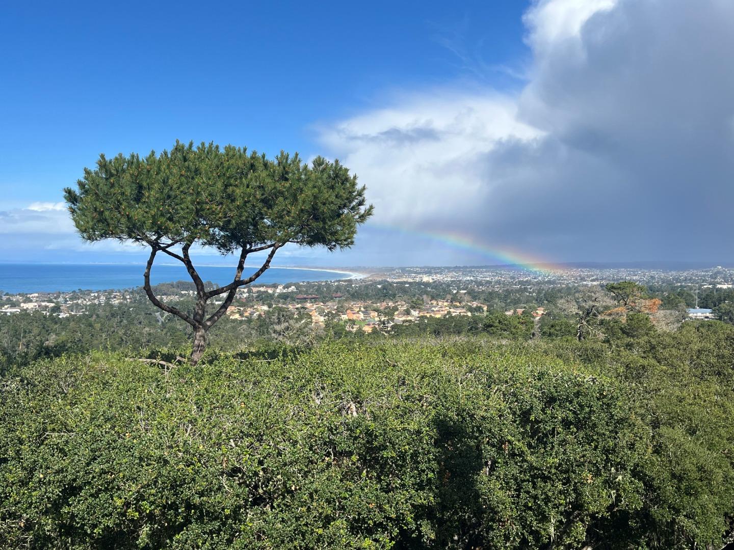 23800 Fairfield Place