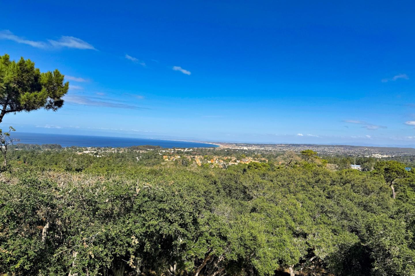 23800 Fairfield Place