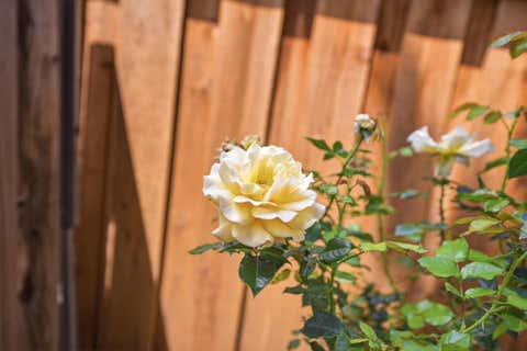 Tiny photo for 4663 Park Arcadia Drive, SAN JOSE, CA 95136 (MLS # ML82050757)