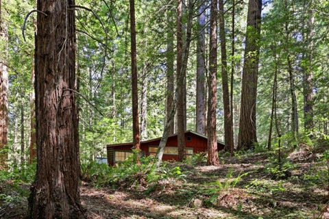 Tiny photo for 155 Native Sons Road, WOODSIDE, CA 94062 (MLS # ML82038622)