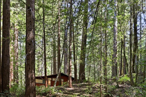 Tiny photo for 155 Native Sons Road, WOODSIDE, CA 94062 (MLS # ML82038622)
