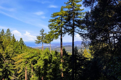Tiny photo for 155 Native Sons Road, WOODSIDE, CA 94062 (MLS # ML82038622)
