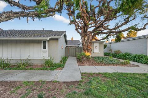 Tiny photo for 1342 Star Bush Lane, SAN JOSE, CA 95118 (MLS # ML82029339)