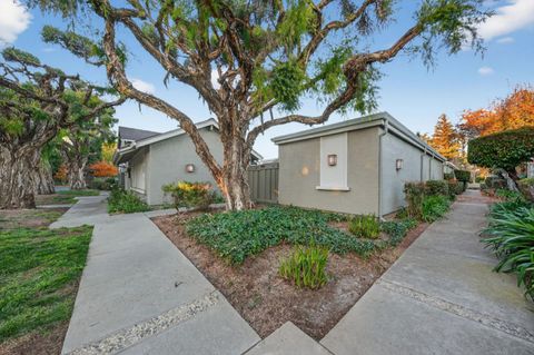 Tiny photo for 1342 Star Bush Lane, SAN JOSE, CA 95118 (MLS # ML82029339)