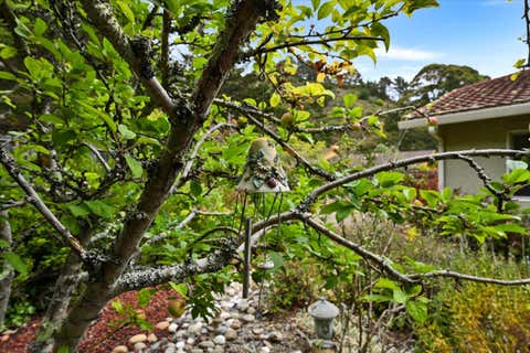 Tiny photo for 47 Buffalo Court, PACIFICA, CA 94044 (MLS # ML82055986)