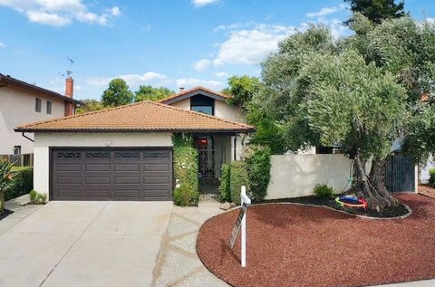Photo of 2305 Oak Flat Road, San Jose, CA 95131 (MLS # ML82041871)